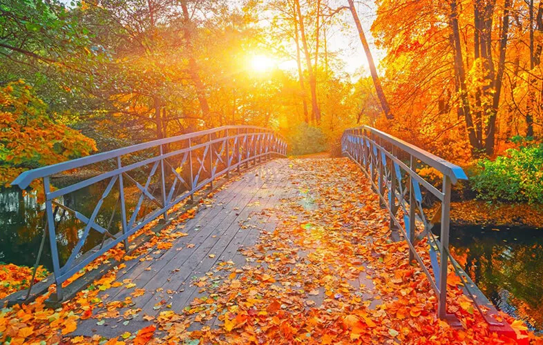 Brücke im Herbst mit Blättern bedeckt